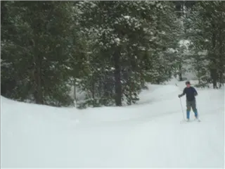 small_Breck2008 001.webp